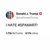 I hate Spam Art